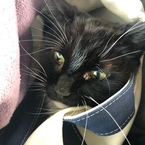 Meet your Posher, Tina